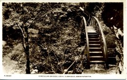 CARDIGANSHIRE - ABERYSTWYTH - DEVIL'S BRIDGE - CIRCULAR BRIDGE RP Dyf136 - Cardiganshire