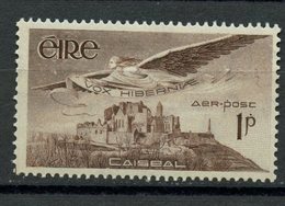 Ireland 1948 1p Air Post Stamp Issue #C1  MNH - Poste Aérienne