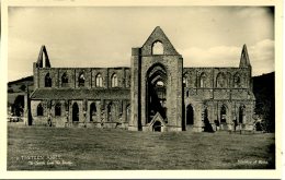 MONMOUTHSHIRE - TINTERN ABBEY - THE CHURCH FROM THE S RP Gw71 - Monmouthshire