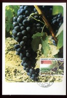 Espagne - Carte Maximum 1983 - Fruits - Raisin - O 206 - Maximum Cards