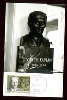 Autriche - Carte Maximum 1977 - Viktor Kaplan - O 224 - Cartes-Maximum (CM)