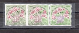 VARIETE BANDE X 3 N 1930 ** - TB DU CENTRE VERT AU LIEU OLIVE ET  TB DE DROITE IDEM + CARMIN AU LIEU DE BRUN - RRR !!! - Unused Stamps