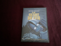 LE GEANT DE FER - Animation