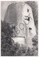 Opdorp MOLEN / MOULIN -Originele Foto Jaren '70 ( A.Carre) 75 - Buggenhout