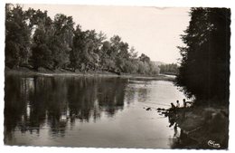 31 - Haute Garonne / MURET : La Navère (Rives De La Garonne). - Muret