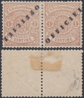 Luxembourg 1875 - A Pair De Timbres Neuf Avec Trace Charnière Mi Nr.: 10 II Prifix Nr. 24. Ref. (EB) DC-MV-409 - Autres & Non Classés