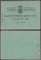 Luxembourg 1906 - Carnet Nr. 2. Timbres Neufs. Le Plus Rare Des Carnets. Superbe . (EB) DC-MV-416 - Autres & Non Classés