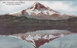 Etats-Unis > OR - Oregon > Reflection Of Mount Hood In Lost Lake - Altri & Non Classificati