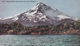 Etats-Unis > OR - Oregon > Mount Hood Showing Lost  Lake - Altri & Non Classificati