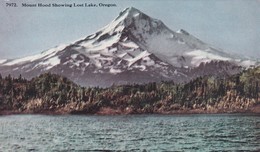 Etats-Unis > OR - Oregon > Mt Hood From Lost Lake - Altri & Non Classificati