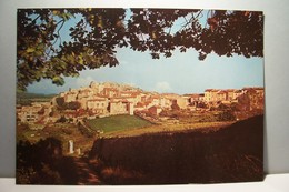 CARCES   -  Vue  Générale- ( Pas De Reflet Sur L'original ) - Carces