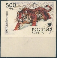 B3771 Russia Rossija Fauna Animal Tiger (500 Rubel) Organization Colour Proof - Plaatfouten & Curiosa