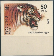 B3772 Russia Rossija Fauna Animal Tiger (50 Rubel) Organization Colour Proof - Variedades & Curiosidades