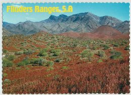 Australien, South Australia, Flinders Ranges - Flinders Ranges