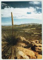 Australien, South Australia, Flinders Ranges - Flinders Ranges