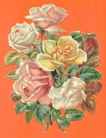 TRES GRAND CHROMO DECOUPIS  " Fleurs - Roses " - Blumen