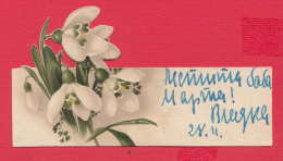 237944 / Flowers Fleurs Blumen Snowdrop Plants - Fiori