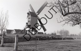 Lembeke Molen/Moulin Originele Foto  B18 - Kaprijke