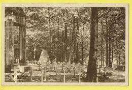 * Rossignol (Luxembourg - Tintigny - La Wallonie) * (Desaix) Intérieur Du Cimetière, Entrée De La Foret, Cemetery, Rare - Tintigny