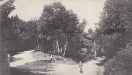 23 /DUN LE PALLETEAU / ENTREE DU BOIS DE CHABANNES - Dun Le Palestel