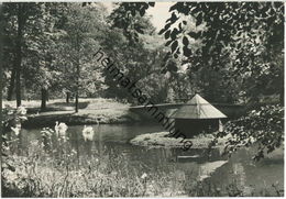 Berlin-Buch - Schloßpark - Foto-Ansichtskarte - Verlag H. Sander Berlin - Buch