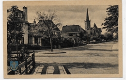 (RECTO / VERSO)  STEENWIJK - J.H. TROMP MEESTERSTRAAT - BEAU CACHET - CPA VOYAGEE - Steenwijk