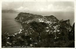 Italie Italia CAPRI Emilia Romagna Panorama Da Cetrella Presqu'île  1937 - Carpi