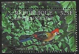 Central Africa - 2001 - Red-crested Turaco (Tauraco Erythrolophus - Coucous, Touracos