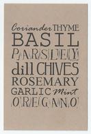 NL.- Coriander. THYME BASIL PARSLEY. DILL CHIVES ROSEMARY GARLIC MINT OREGANO -. Kaart Zonder Envelop. - Plantes Médicinales