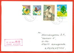 Japan 2004.Butterfly. Entomology. Envelope Passed The Mail. Airmail. - Storia Postale