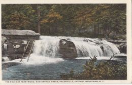 CPA CATSKILL MOUNTAINS- FERN WOOD WATERFALLS - Catskills