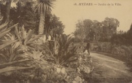 Plantes - Cactus Aloès - Hyères 83 - Jardin De La Ville - Sukkulenten