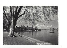 20707 -  Arbon Am Bodensee (Format 10X 15) - Arbon