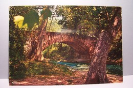 LA CRAU    - DOMAINE DE LA CASTILLE  - LE PONT  - ( Pas De Reflet Sur L'original ) - La Crau