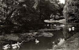 MOERS Am Rhein, Partie Am Nordring (1960s) AK - Moers