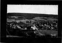 58 BRINON-SUR-BEUVRON : Vue Générale Prise Du Mont Rouen CPSM Année 1953 EDIT NOVAL - Brinon Sur Beuvron