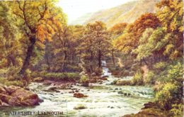 AR QUINTON - SALMON 960 - WATERSMEET LYNMOUTH X - Quinton, AR