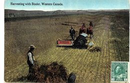 Carte  Postale Ancienne De WESTERN CANADA - Autres & Non Classés