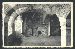 +++ CPA - RIJCKHOVEN LEZ BILSEN - Château Des Vieux Joncs - Cave Des Supplices - Nels   // - Bilzen