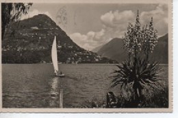 LUGANO PARADISO E  MONTE  BRE 2734 - Paradiso