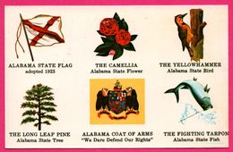 Alabama - Flag - Drapeau - Camélia - Pic Vert - Poisson - Blason - Aigle - Fish - SCENIC SOUTH Co - Sonstige & Ohne Zuordnung