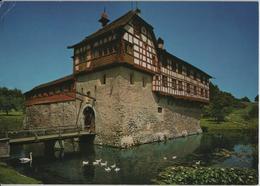 Schloss Hagenwil Bei Amriswil - Amriswil
