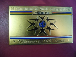 PLAQUE En METAL 11 X 6,5 Cm MEDAILLE PARACHUTISME VOL RELATIF CHATEAUROUX (36) En 1979 @ 3° Championnat Du Monde - Parachutting