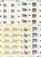 1996. Tajikistan,  WWF, Wild Cats, 6 Sheetlets Of 10v, Mint/* - Tadjikistan