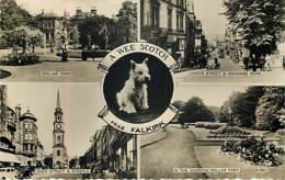 FALKIRK - Multivues - Valentine & Sons (DOG) - Stirlingshire