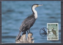 W.W.F. - Oiseaux - Cormoran - Man - Carte Postale De 1989 - Oblit Douglas - Storia Postale