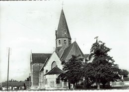 EKSAARDE-O.L.VROUWKERK - Lokeren