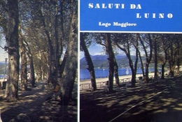 Saluti Da Luino - Lago Maggiore - Formato Grande Viaggiata – E 9 - Luino