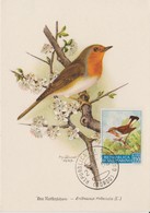 Saint Marin Carte Maximum 1960 Oiseau Traquet 488 - Brieven En Documenten
