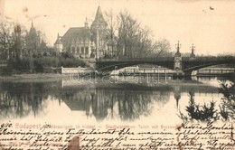 T2/T3 1904 Budapest XIV. Városligeti Tó Híddal. Taussig Arthur 3166. (EK) - Non Classés